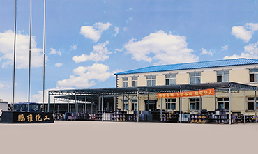 辽宁鹏维化工制漆有限责任公司