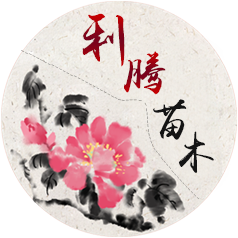 菏泽利腾苗木有限公司