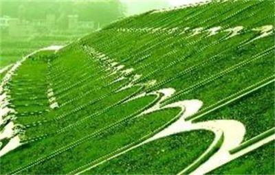 河北鼎而固边坡绿化工程有限公司