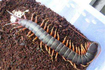 桐乡市宏成搪瓷有限责任公司