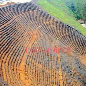 重庆道拓交通工程材料有限公司