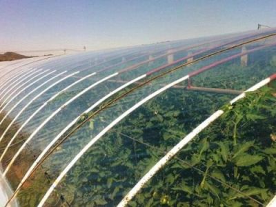 聊城市塑料工业有限公司