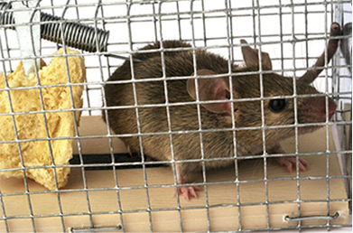 上海渗洁环保科技有限公司