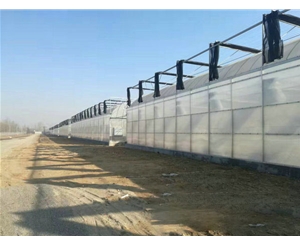 青州凤凰温室工程有限公司