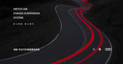 浙江迪驰科技股份有限公司