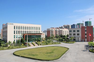 替换（香港）有限公司