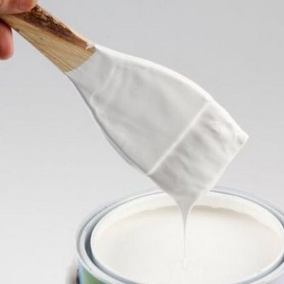 苍溪县雪中花涂料厂