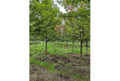 成都盛禾农业科技有限公司