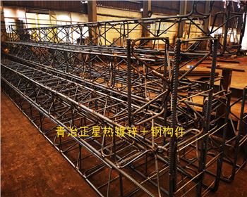 成都青冶正星金属制品有限公司