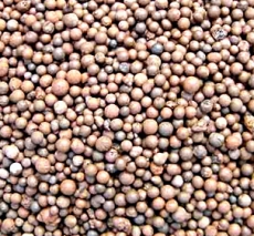 进贤县文港陶粒厂