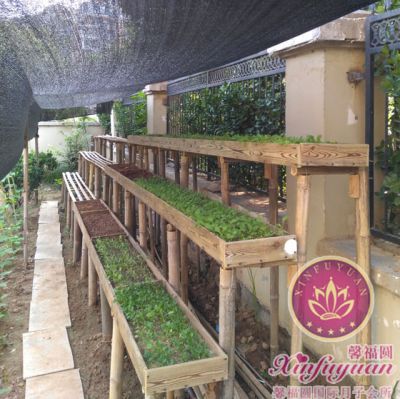 济南馨福圆母婴家庭服务有限公司