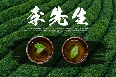 安徽李先生茶业有限公司