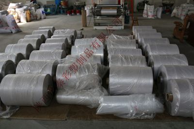 陕西苏秦彩塑制品有限公司