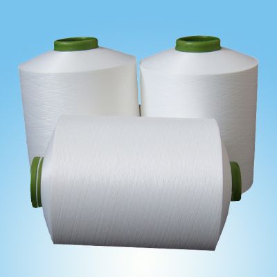 江苏海盛纤维有限公司