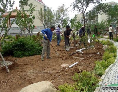 四川美奕歆园林绿化工程有限公司