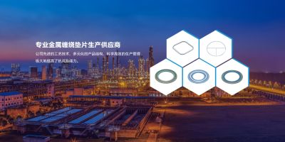 宁波华亿密封技术有限公司