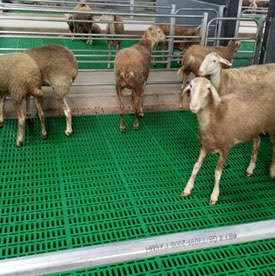 诸城市中兴畜牧机械有限责任公司