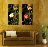 阿特斯（厦门）文化艺术有限公司