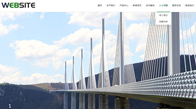 大连网站建设科技有限公司