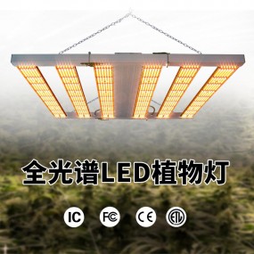 广东伟照业光电节能有限公司