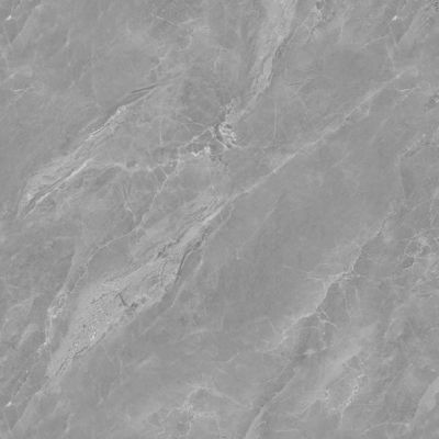 广东佛山王者冠军陶瓷有限公司