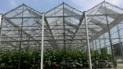 四川易科格林农业科技有限公司