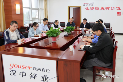 汉中锌业有限责任公司