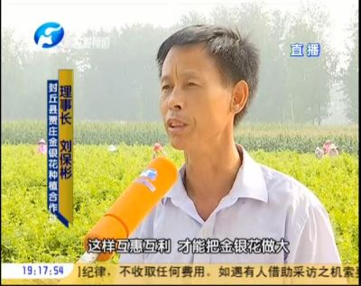 封丘县贾庄金银花种植专业合作社