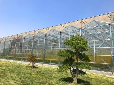 北京新华农源温室工程技术有限公司