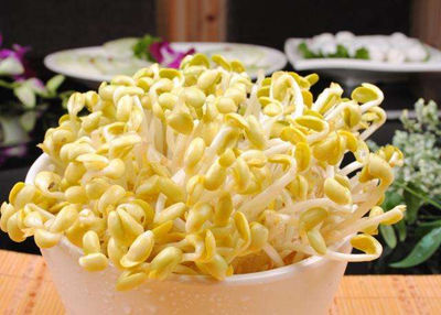 山东菜之初农业科技有限公司