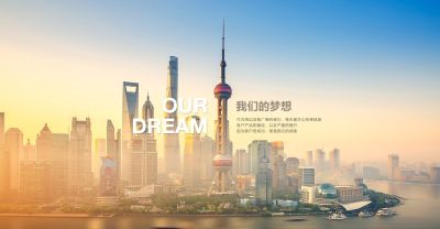 上海普莱克斯自动设备制造有限公司