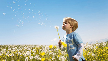 欧瑞克蓄电池（中国）电源科技有限公司