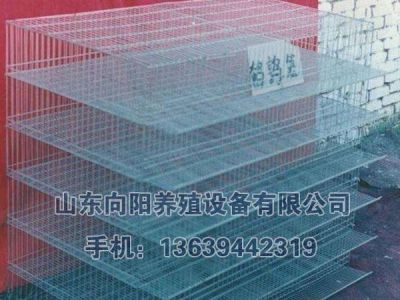 山东向阳笼具厂