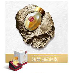 山西琪尔康翅果生物制品有限公司