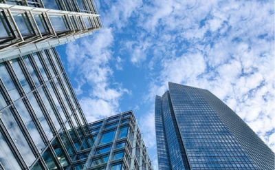 连云港紫元素食品加工有限公司