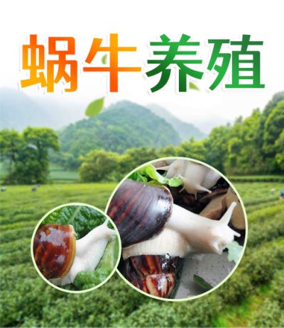 徐州邦农生物科技有限公司