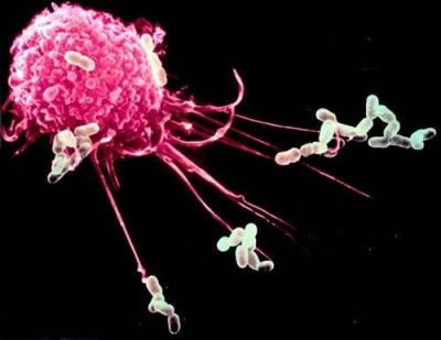 洪瑞元生物技术有限公司