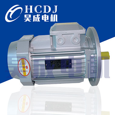 聊城市昊成电机有限公司