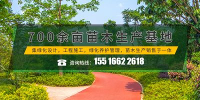 长垣市华夏园林绿化有限公司