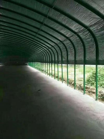 新东方禽业建设有限公司