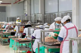 江苏迎客松科技有限公司