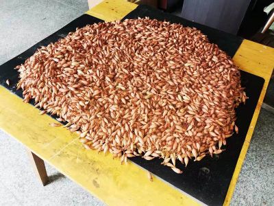 天宇杰农业开发有限公司