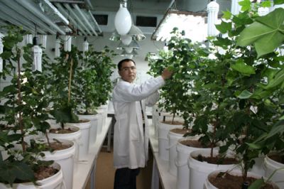 济南宝慧鸿蘑蜡烛制造厂