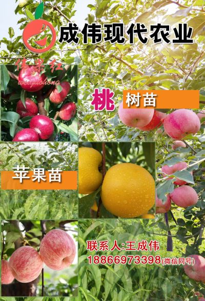 湖南大兴现代农业科技有限公司