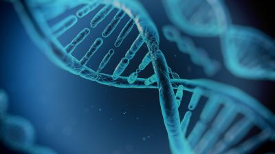 西安芙思美生物科技有限公司