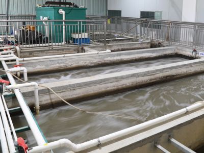 台州市绿野环保工程有限公司