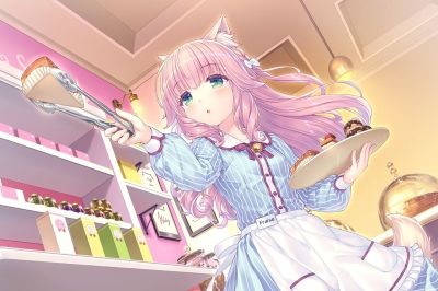 安庆新经典家具有限公司