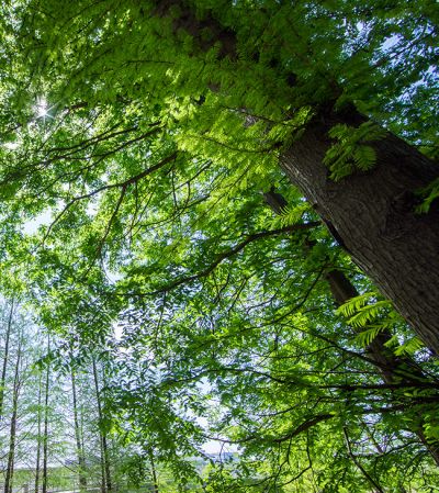朝阳恒力活性炭制造有限公司