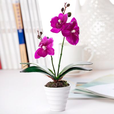 北京怡霖园林绿化有限公司