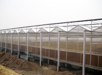 安徽民达温室工程设备有限公司